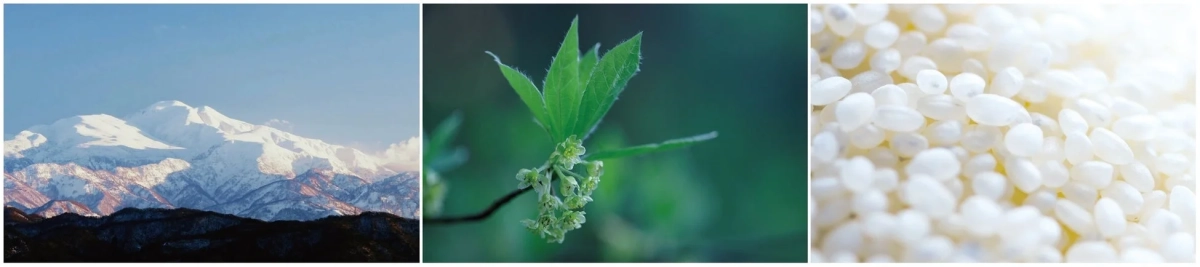 雪山、新緑の植物、米粒の組写真
