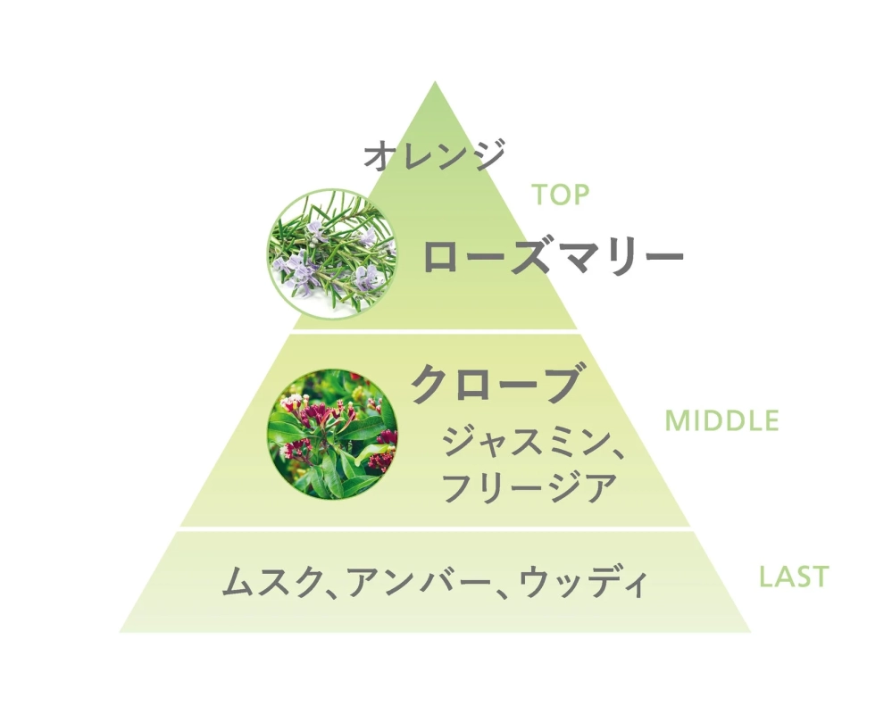 香りのピラミッド