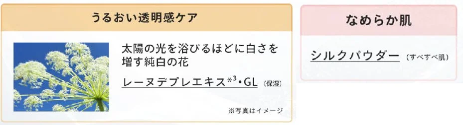 透明感ケア成分