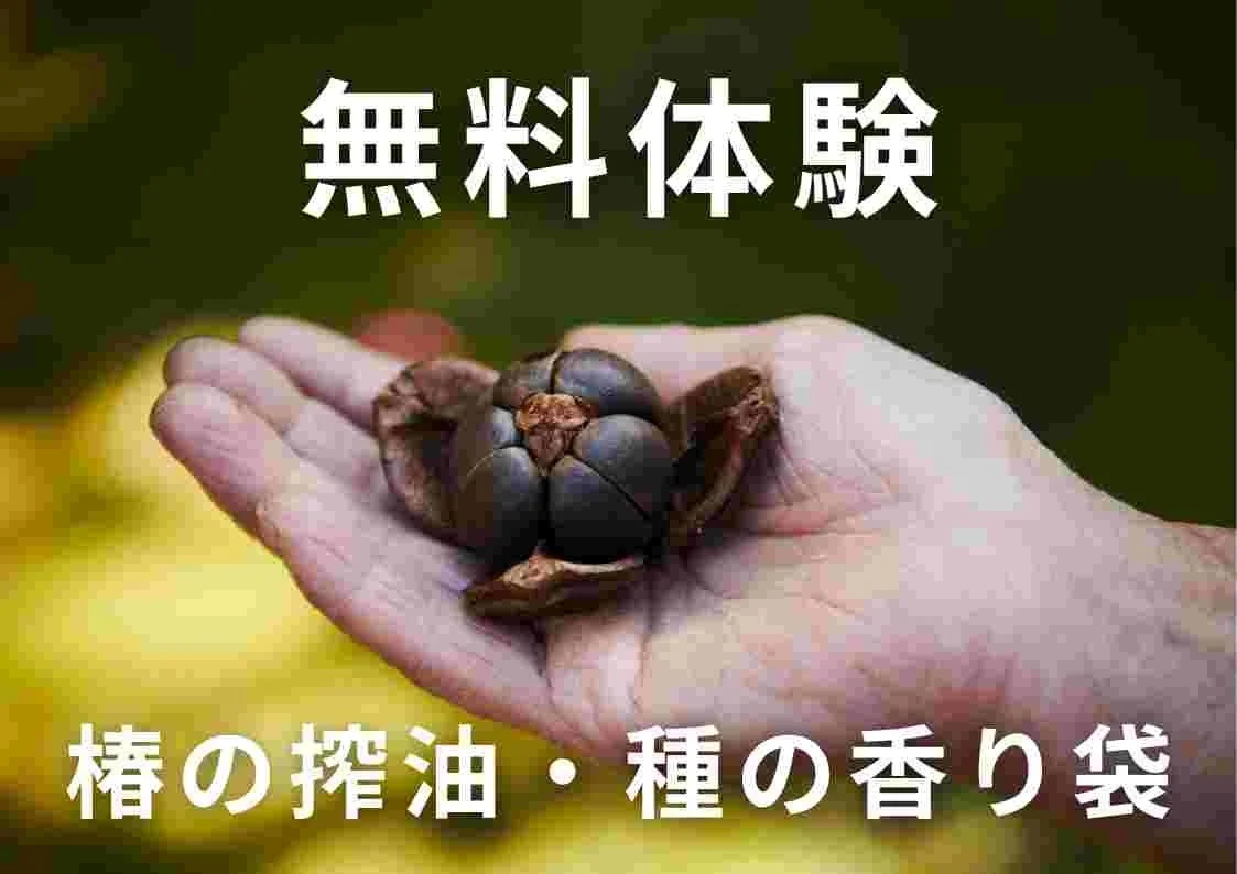 椿の種子と無料体験の告知