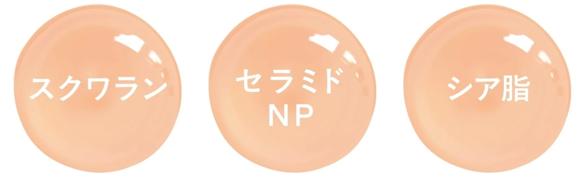 スクワラン、セラミドNP、シア脂アイコン