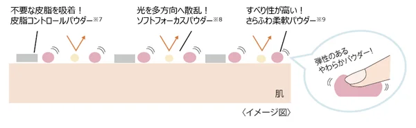 パウダー成分イメージ