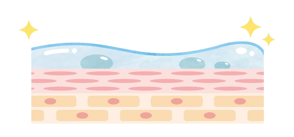 肌の断面図と水滴