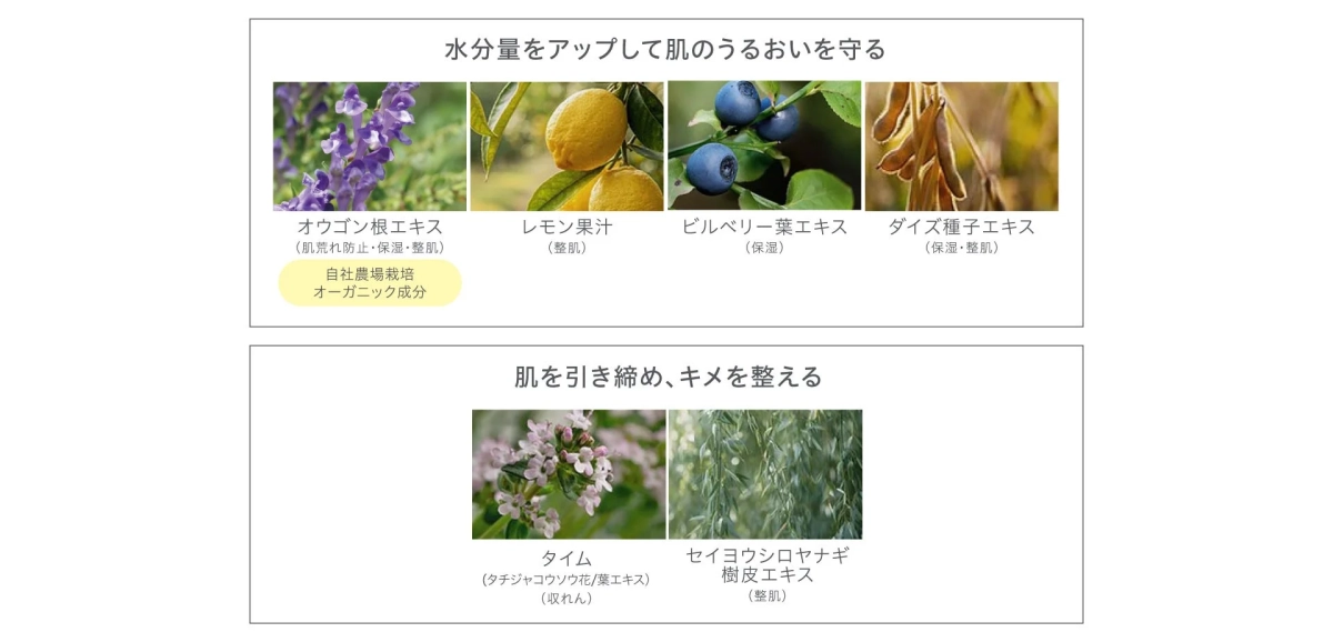 肌のうるおいを守る美容成分と肌を引き締める美容成分