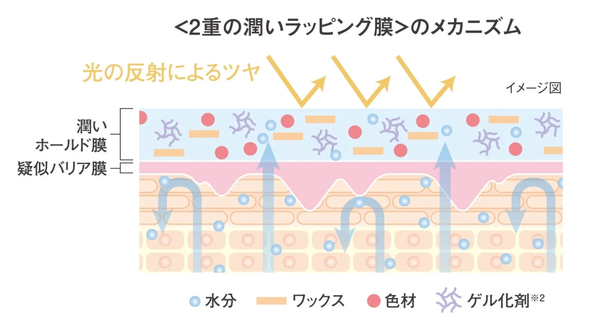2重の潤いラッピング膜のメカニズム
