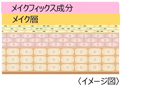 メイクフィックス成分イメージ