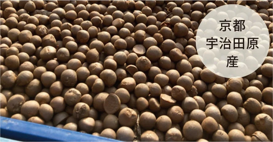 京都宇治田原産の茶の実
