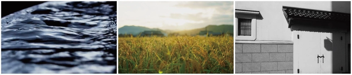 水面の波紋、稲穂、日本家屋の組写真