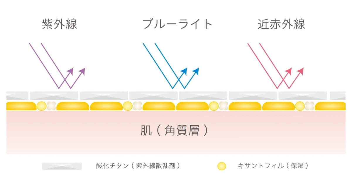 紫外線 ブルーライト 近赤外線が肌（角質層）に作用する図