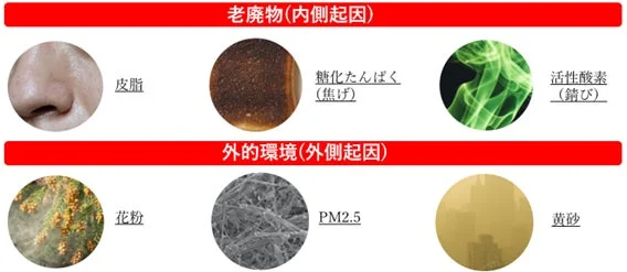 老廃物と外的環境