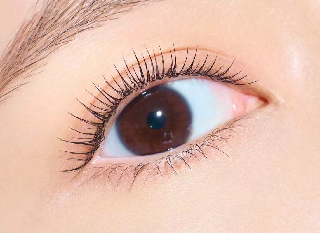 まつげのクローズアップ