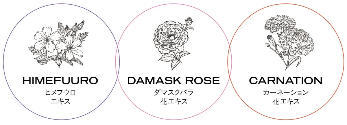 ヒメフウロ、ダマスクバラ、カーネーションの3種類の花とそれぞれのエキスを示すイラスト