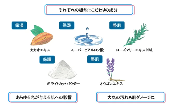 美容成分の説明図