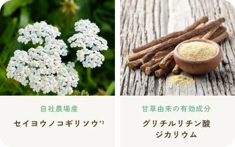 セイヨウノコギリソウとグリチルリチン酸ジカリウム