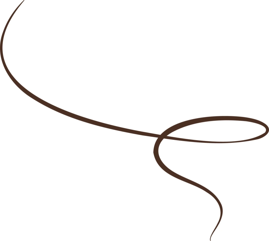 ブラウンブラックのライン