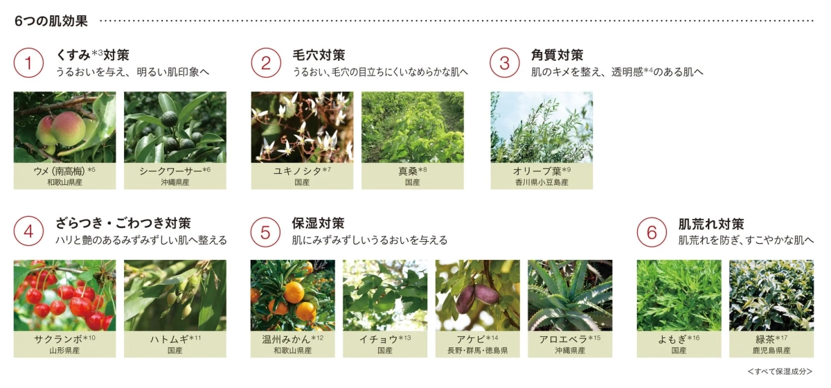 6つの肌効果の詳細