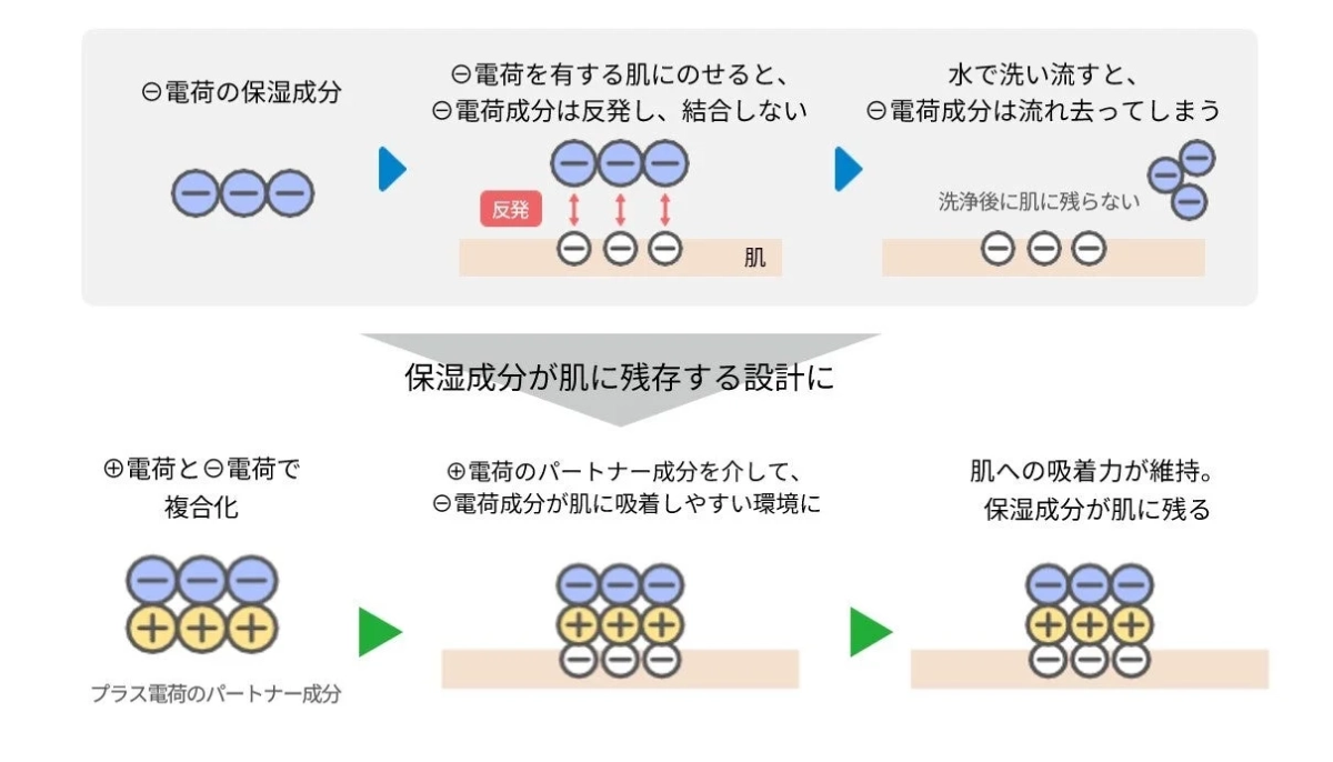 ビューティーコンプレックスの仕組み