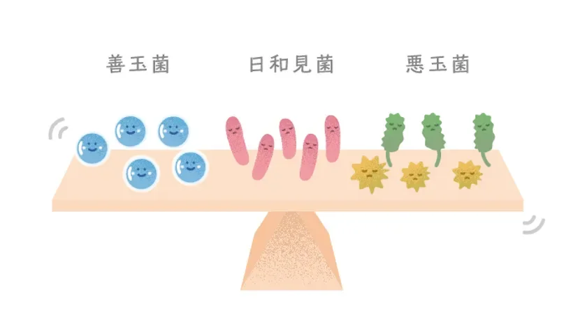 皮膚常在菌のバランス