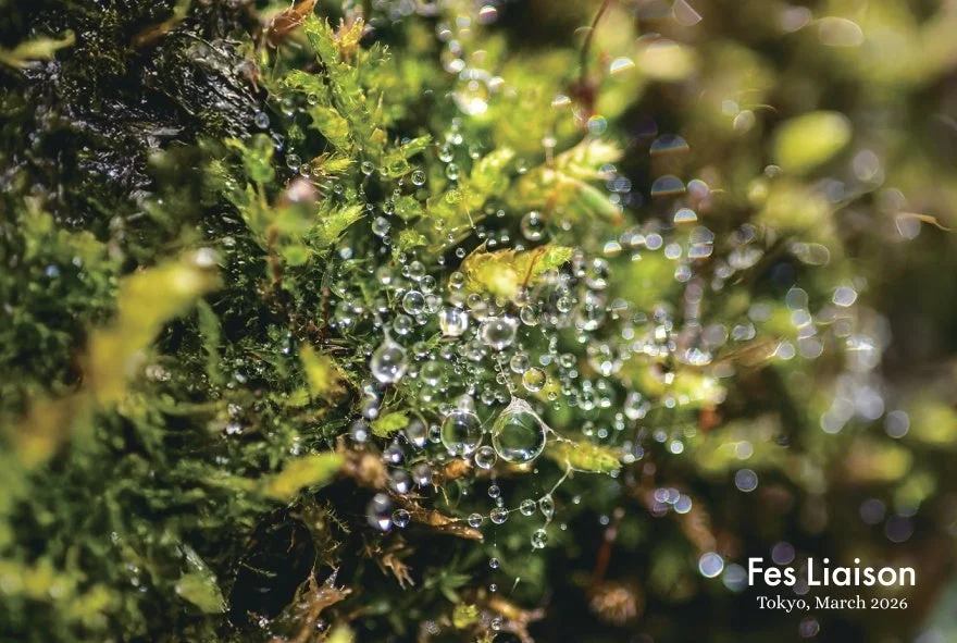 Fes Liaison Tokyo, March 2026の文字が入った苔と水滴の画像