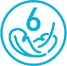 青い円の中に数字の6と胎児のようなイラスト