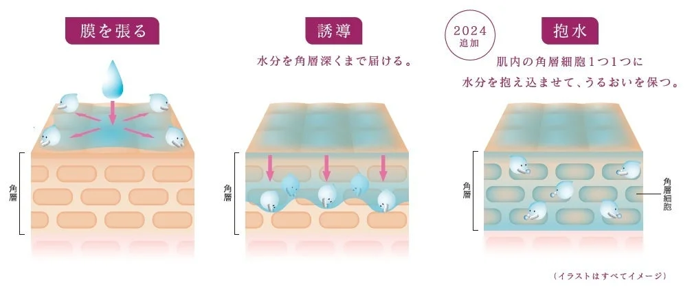 タイムリフレッシャーのメカニズム