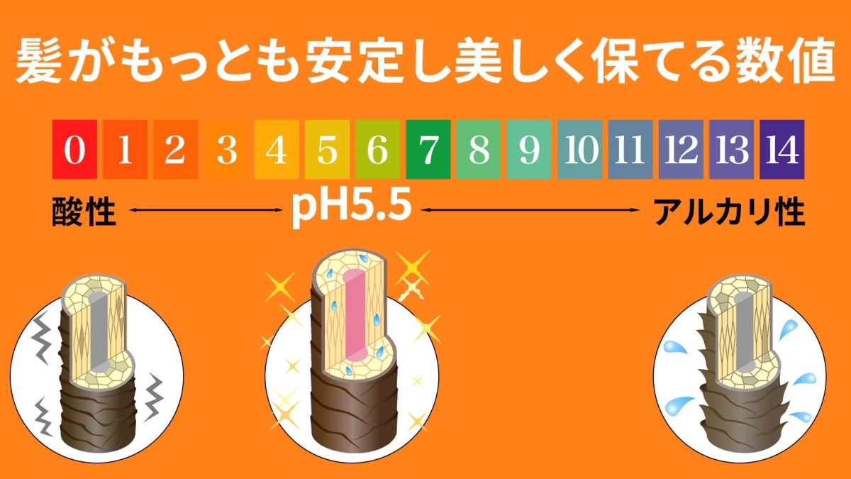 髪がもっとも安定し美しく保てる数値 pH5.5