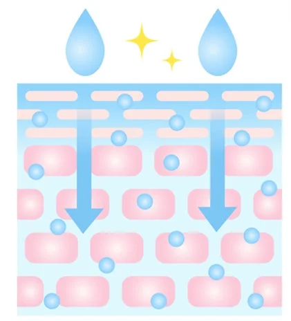 肌への浸透イメージ