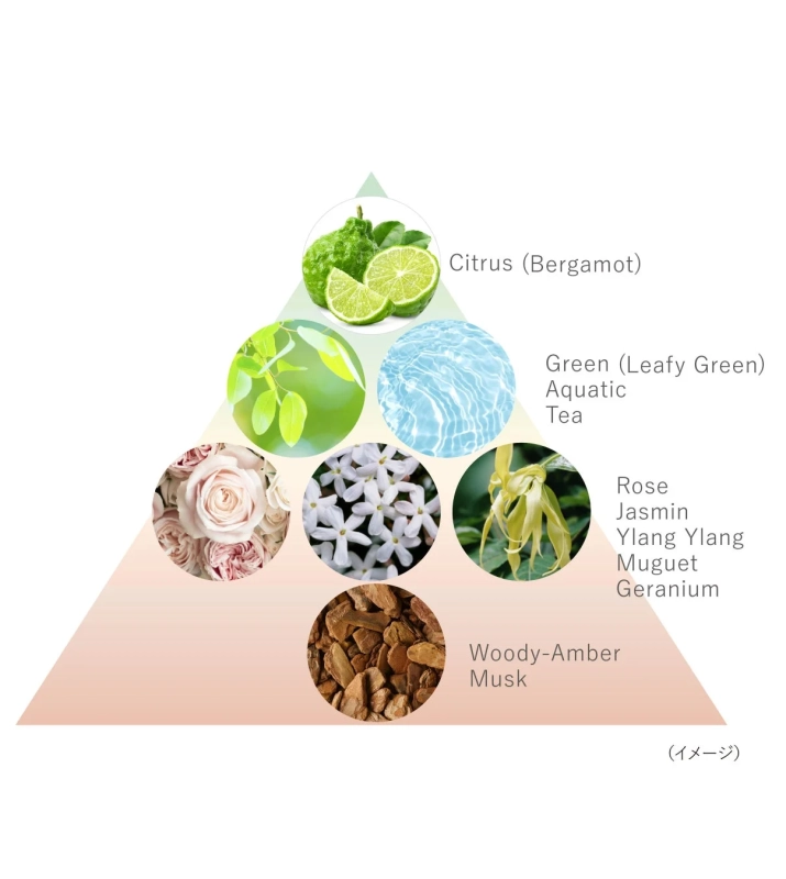 香りのピラミッド