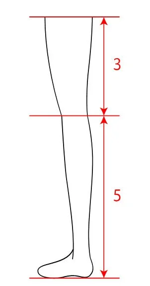 脚のプロポーションを示す線画
