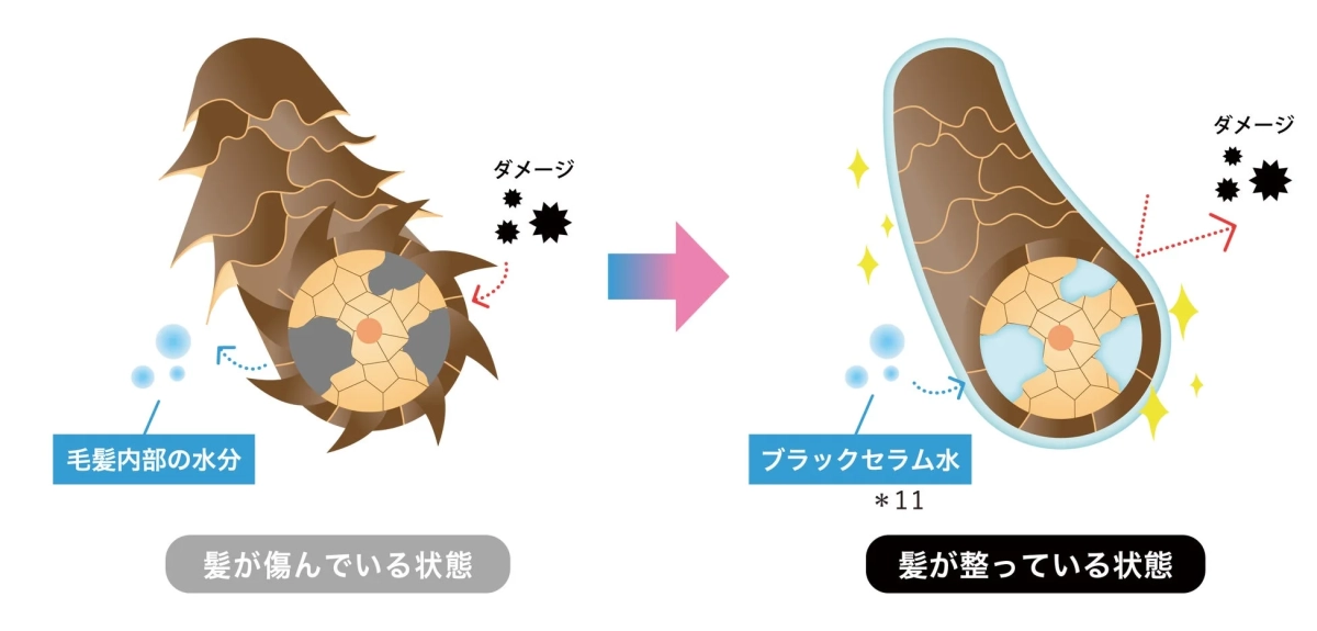 ブラックセラム水