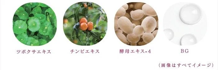 モイストMSHガード成分