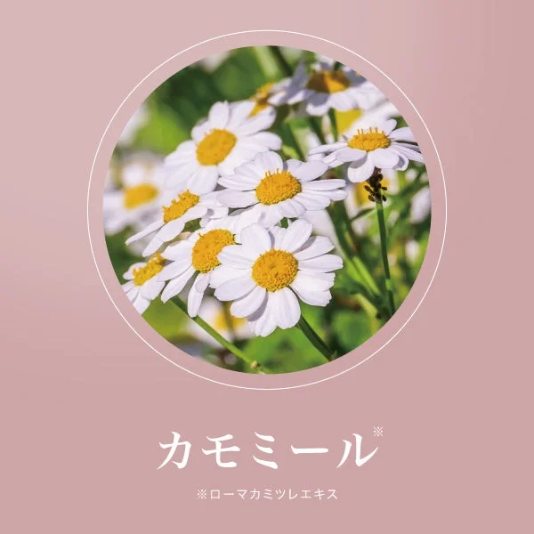カモミール