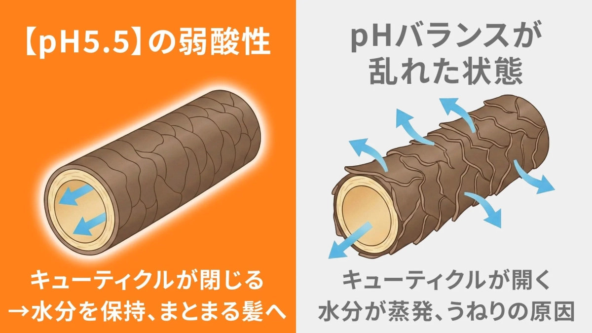 pH5.5の弱酸性 キューティクルが閉じる