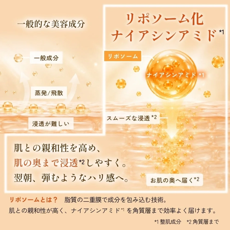 リポソーム化ナイアシンアミドの浸透イメージ