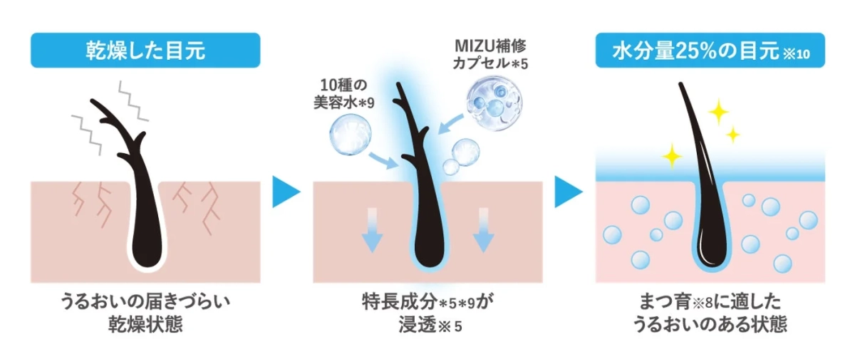 まつ育に適したうるおいのある状態