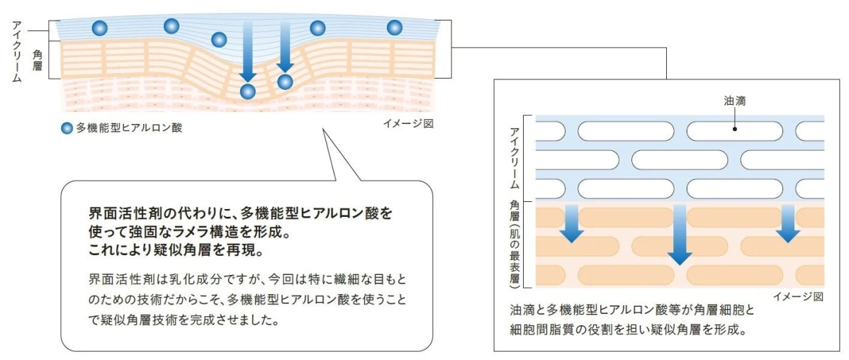 アイクリームにおける疑似角層技術の解説図