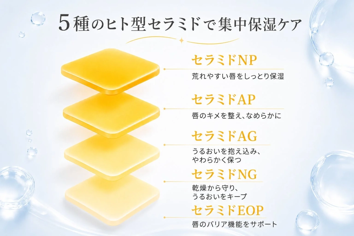 5種のヒト型セラミド