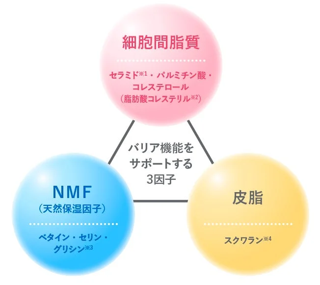 バリア機能をサポートする3因子