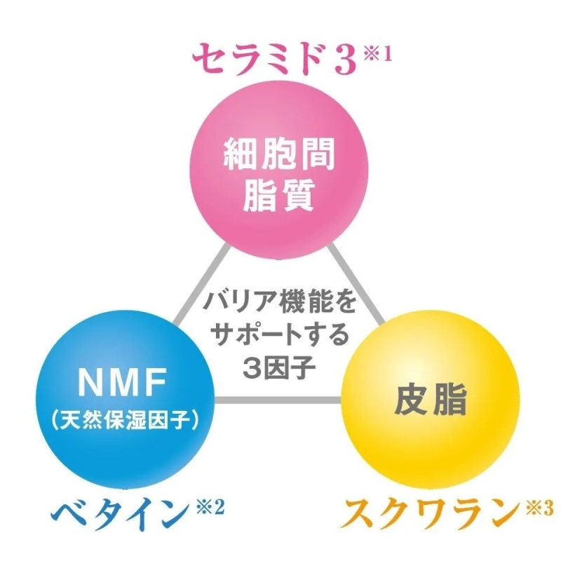 バリア機能をサポートする3因子と成分