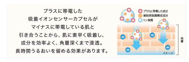 浸透イオン技術の説明図