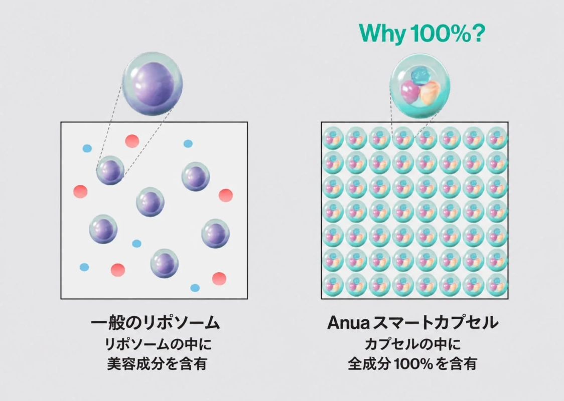 一般的なリポソームとAnuaスマートカプセルの比較