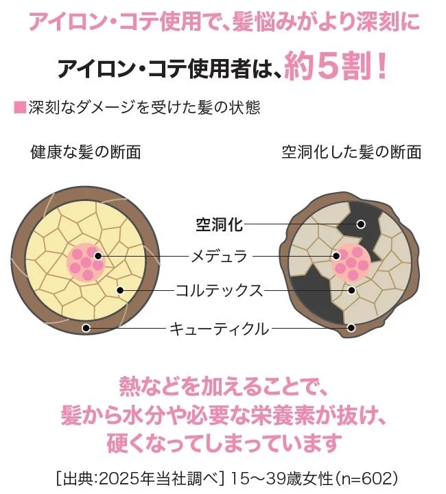 アイロン・コテ使用による髪のダメージに関する調査結果