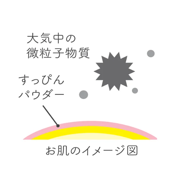 大気中の微粒子物質から肌を守るイメージ図