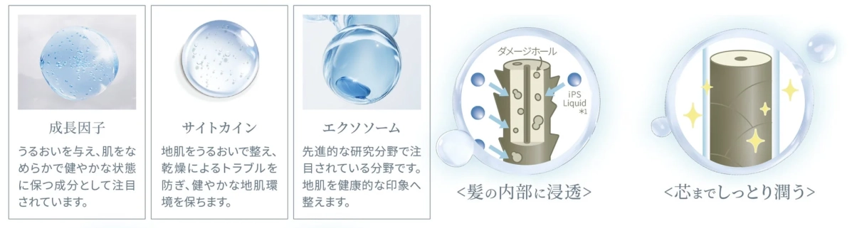 iPS Liquidの説明図
