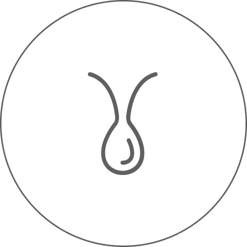 専門性の高い成分のアイコン