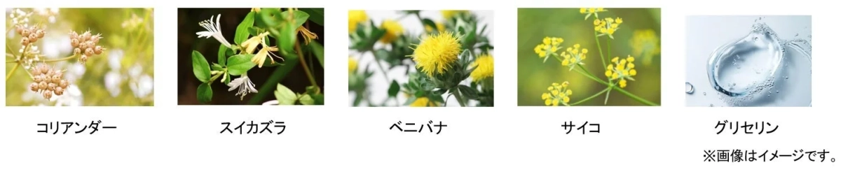 ゴールデンボタニカルコンセントレートの成分