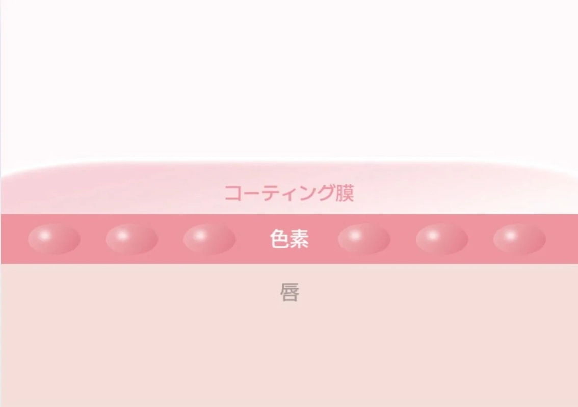 コーティング膜と色素の図解