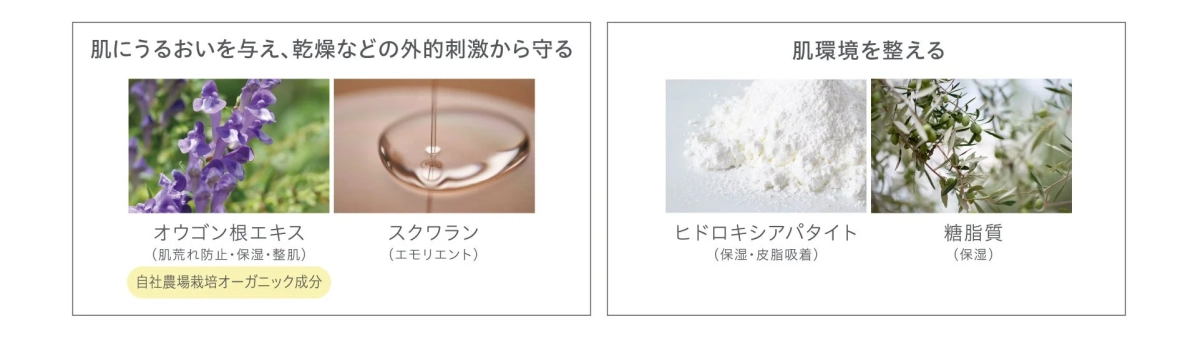 肌にうるおいを与え、乾燥などの外的刺激から守る成分