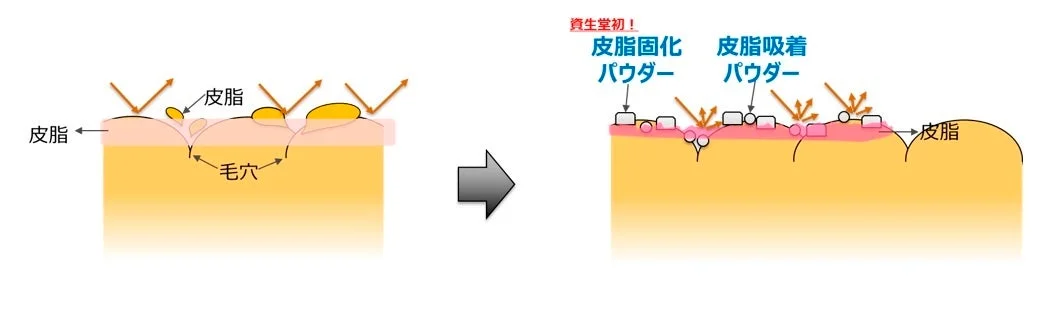 皮脂固化パウダーの説明図