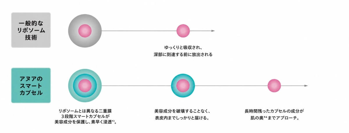 スマートカプセルのデリバリー設計